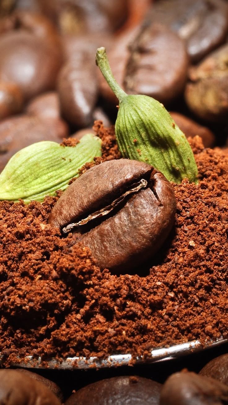 Ground Coffee
